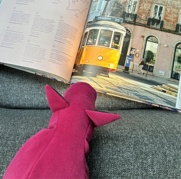 leseleuchte-henry-fuer-die-schulter-leseschwein-ideales-licht-zum-lesen-capriblau-design-made-in-germany-hergestellt-in-deutschland